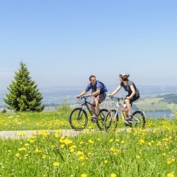 Bodensee-Königsee Radweg - Reiseangebote