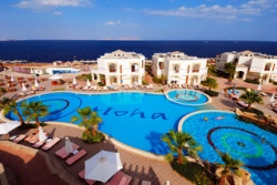 Shores Aloha Resort - Reiseangebote