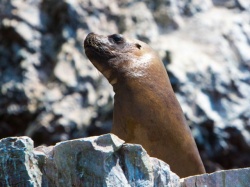 Peru Bolivien Chile XXL Andenzauber inkl. Dschungelabenteuer - Reiseangebote