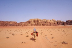 Jordanien: Kameltrekking Wadi Rum intensiv - Reiseangebote