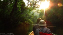 Unterwegs im Reich der Tiger im Nam Et Phou Louey - Reiseangebote