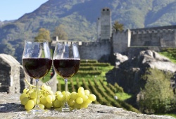 5 Tage (variabel) Rundreise Rioja Wein Tour 5 Tage (variabel) Rundreise Rioja Wein Tour