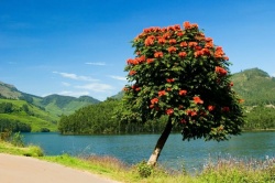 Magisches Kerala - Reiseangebote