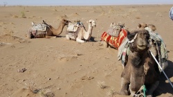 Iran individuell: Kameltrekking Dasht-e Kavir - Reiseangebote