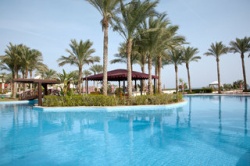 Grand Rotana Resort & Spa - Reiseangebote