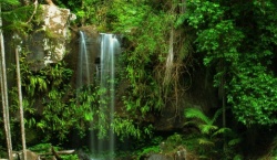 Wunder der Natur - Reiseangebote