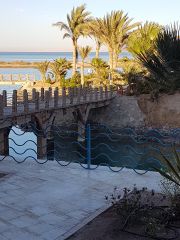 Sheraton Miramar Resort - Reiseangebote