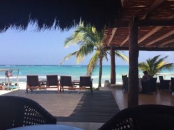 Akumal Bay Beach & Wellness Resort - Reiseangebote