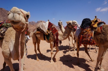 Rundreise Jordanien mit Silvester im Wadi Rum - Reiseangebote