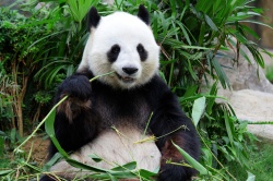 China mit der ganzen Familie entdecken - Reiseangebote