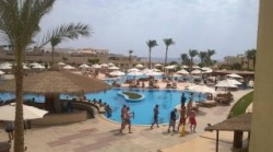 Hilton Sharks Bay Resort - Reiseangebote