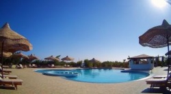 Mangrove Bay Resort - Reiseangebote