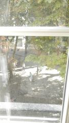 TimMontmartre - Reiseangebote