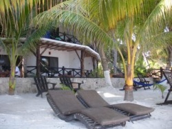 La Palapa Holbox - Reiseangebote