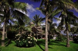 The Pyramid at Grand Oasis - Reiseangebote