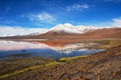 Laguna Colorada, 4.560 m, Chile  (Bild: Laguna Colorada (4.560 m), Nico Kaiser, CC BY)