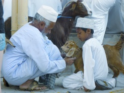 Marktszene Oman  (Bild: Nomad Reisen)