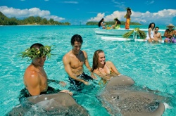 Hautnah: Die beeindruckenden Rochen an der Küste vor Tahiti  (Bild: Tim-McKenna, Tahiti Tourism, Copyright)