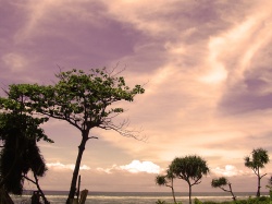 An eve at Marine Drive, Sri Lanka  (Bild: an eve at Marine Drive, Hash Milhan, CC BY)