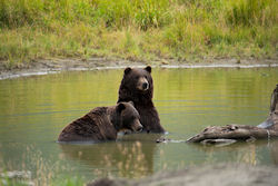 Last Frontier: Naturerlebnis Alaska - 100 Urlaubsziele