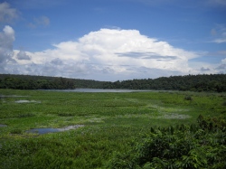 Ankarafantsika National Park  (Bild: Lake Ravelobe, Ankarafantsika National Park, Madagascar, Frank Vassen , CC BY)