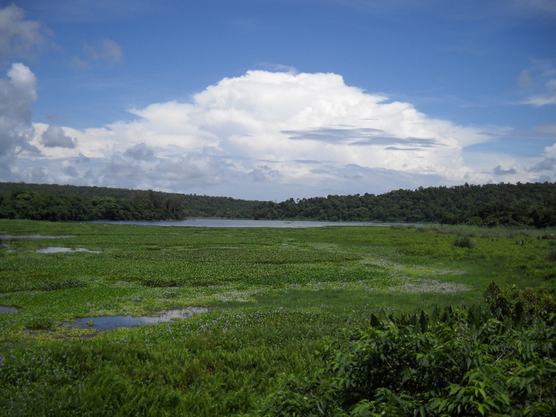 Beste Reisezeit Madagaskar (Klimatabelle Madagaskar)