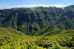 Madeira - Blumeninsel im Atlantik - Abenteuerurlaub