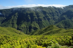 Madeira - Blumeninsel im Atlantik