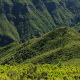 Urlaubstipps Madeira