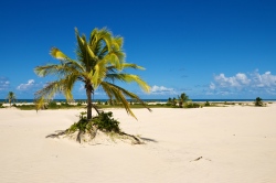 Traumstrand bei Bahia  (Bild: Mangue Seco, Nico Kaiser, CC BY)