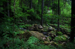 Wandern und Erholung im Schwarzwald