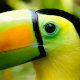 Urlaubstipps Guatemala und Belize