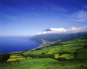 Pico