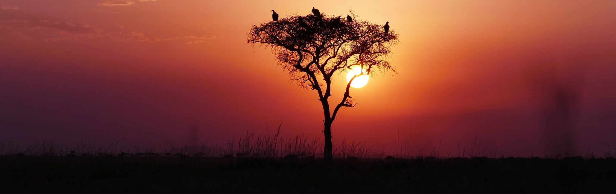 outback africa namibia safari empfehlung