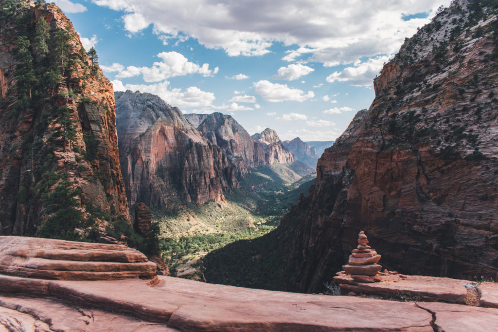 Foto: Fineas Anton (Unsplash)