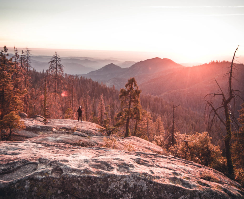 Foto: Roberto Nickson (Unsplash)
